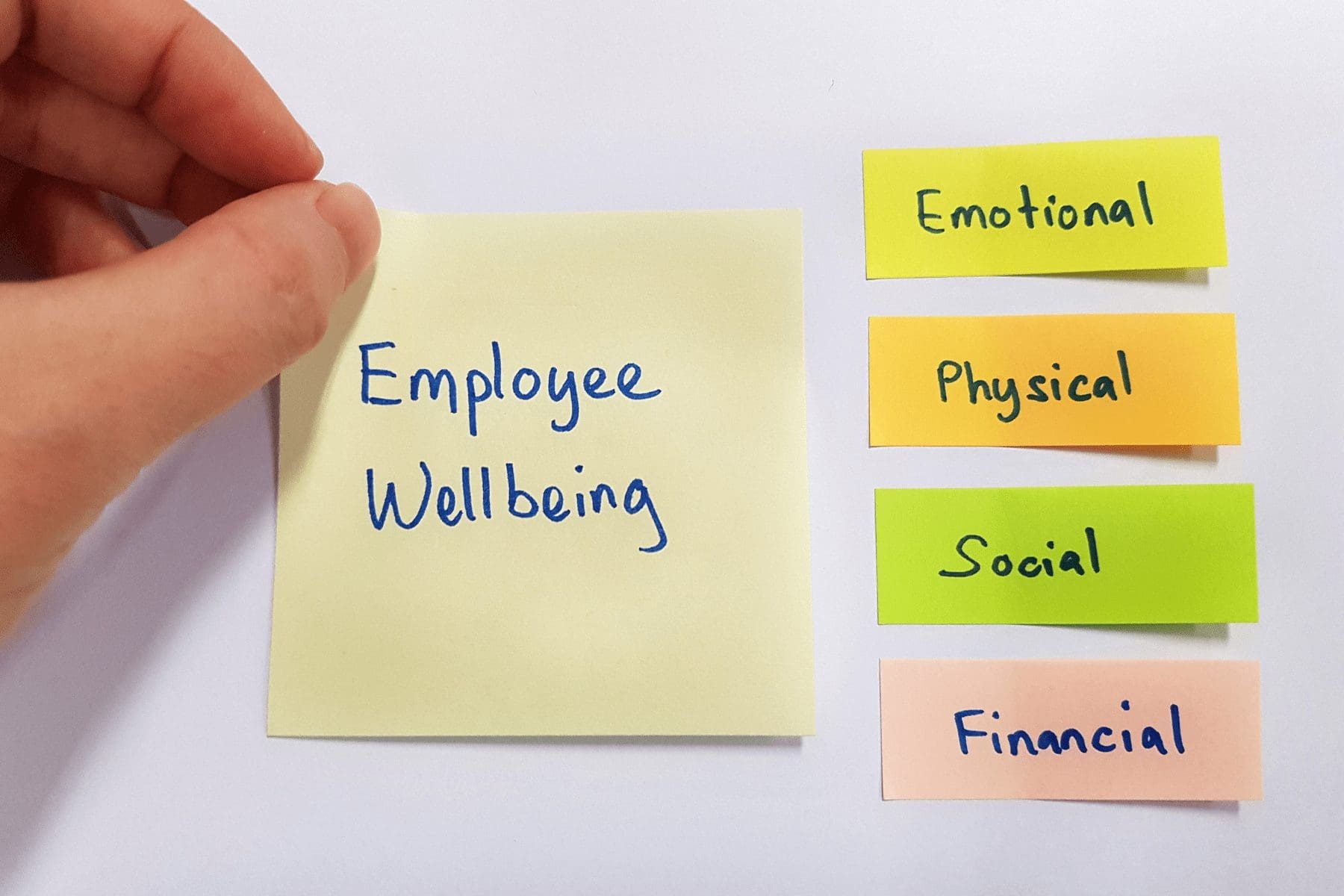 employee well being and characteristics written on post its